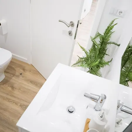 Pinheiro - פונטה דה לימה