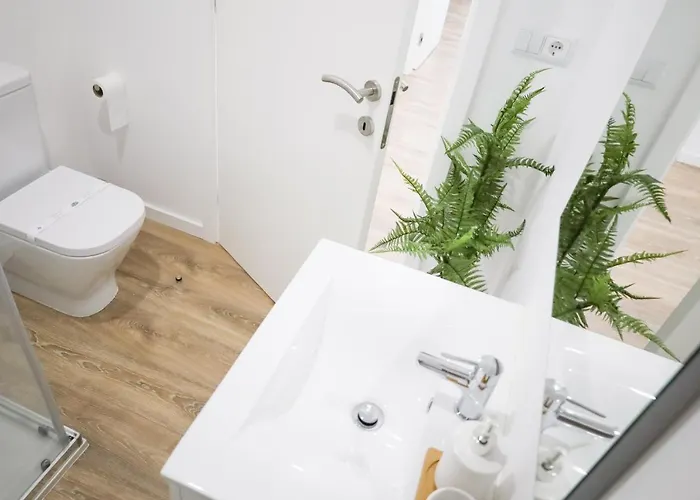 Pinheiro - 폰테 데 리마